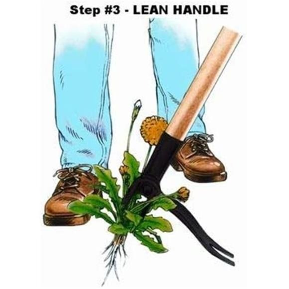 Stand Up Weed Puller Tool with Long Handle - Made with Real Bamboo - Picture 6 of 6